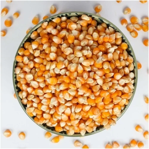 Maize Whole